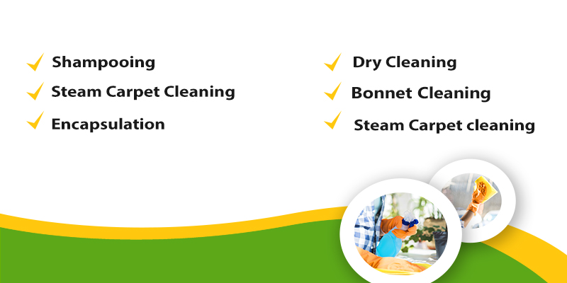 Top 6 Carpet Cleaning Method